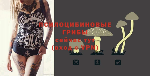 ALPHA PVP Инсар