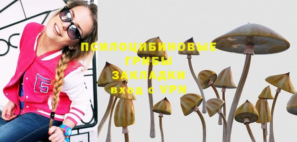 mdpv Каменск-Шахтинский