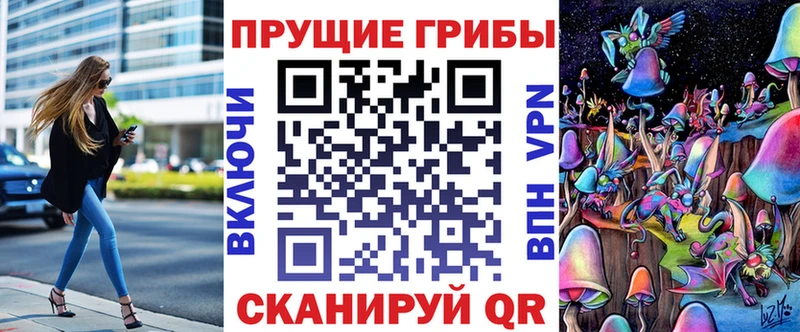 Псилоцибиновые грибы мицелий  где найти наркотики  Киренск 